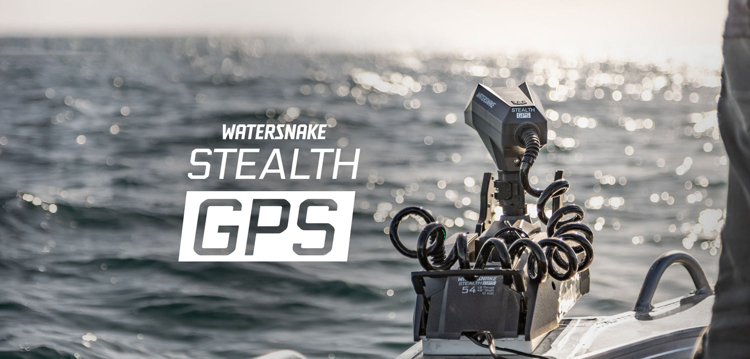 Watersnake Australia