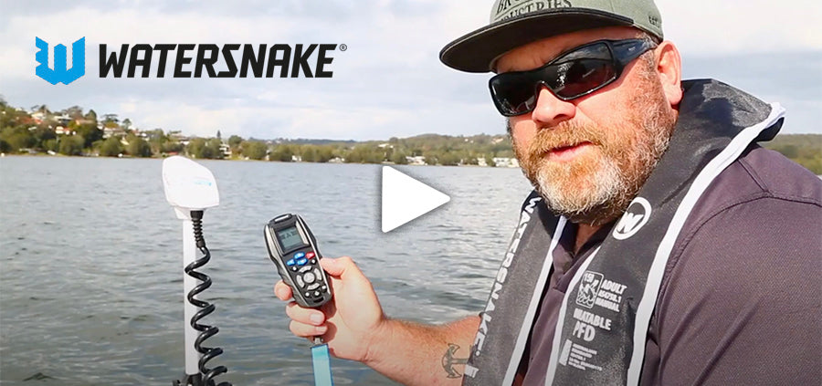 Watersnake Australia